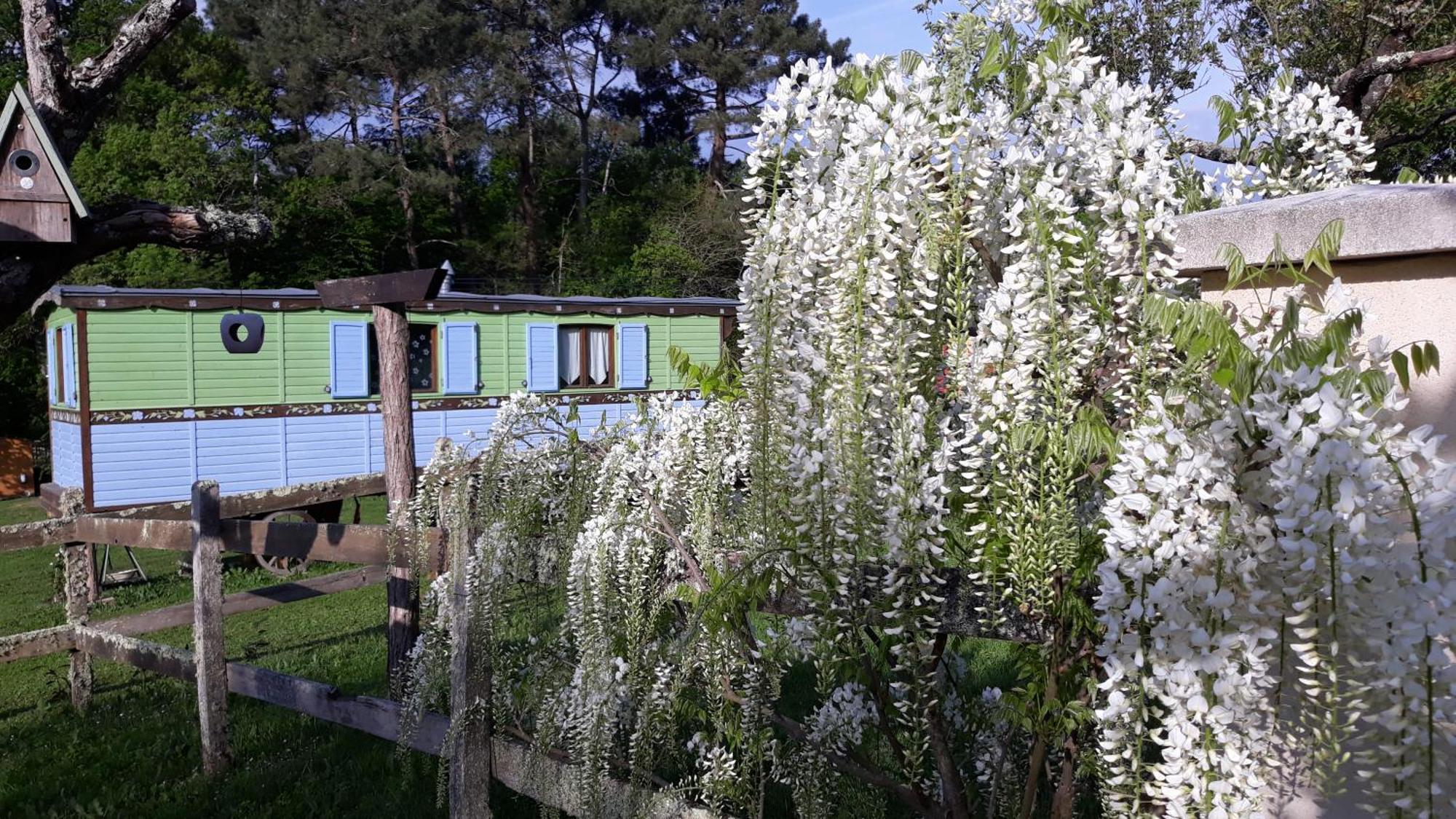 Sigalens Roulotte Fleur Des Champsヴィラ エクステリア 写真