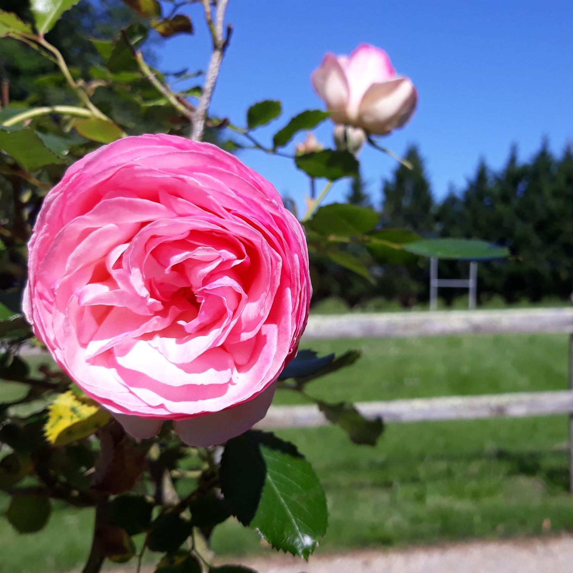 Sigalens Roulotte Fleur Des Champsヴィラ エクステリア 写真